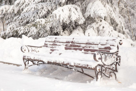 Rigtigt glædelig jul!